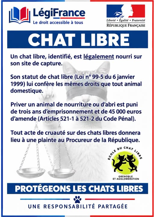 CHATS LIBRES
